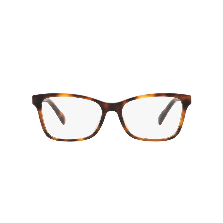 Ralph Lauren RL6233U 5303